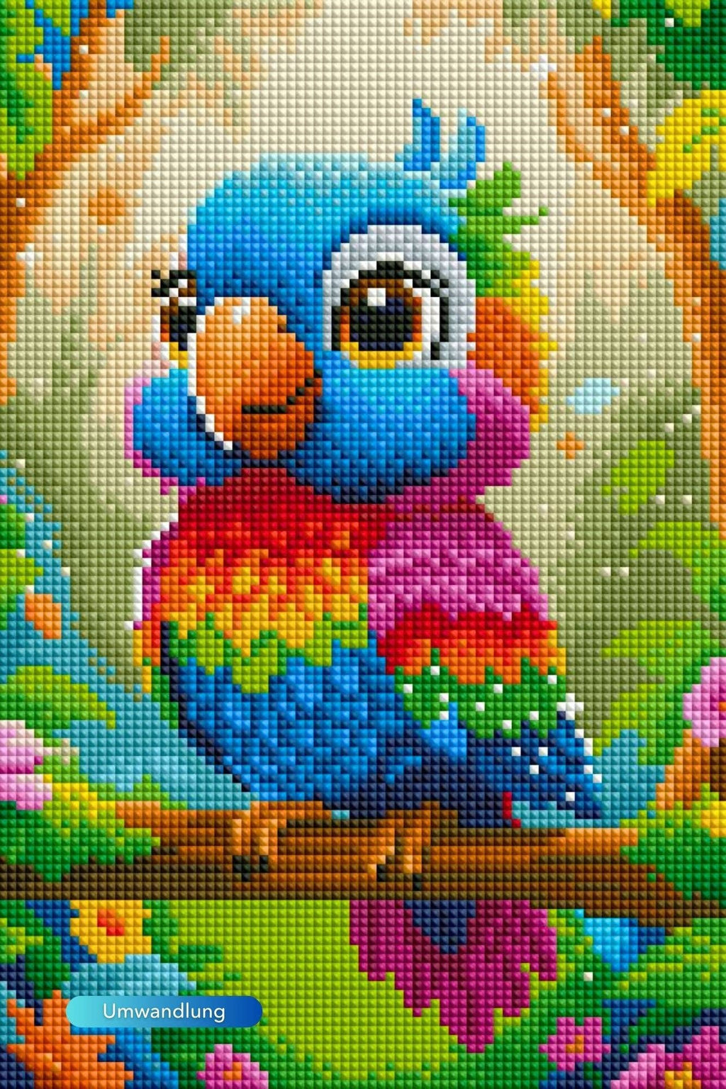 Picmondoo - Diamond Painting - Papagei Fritz