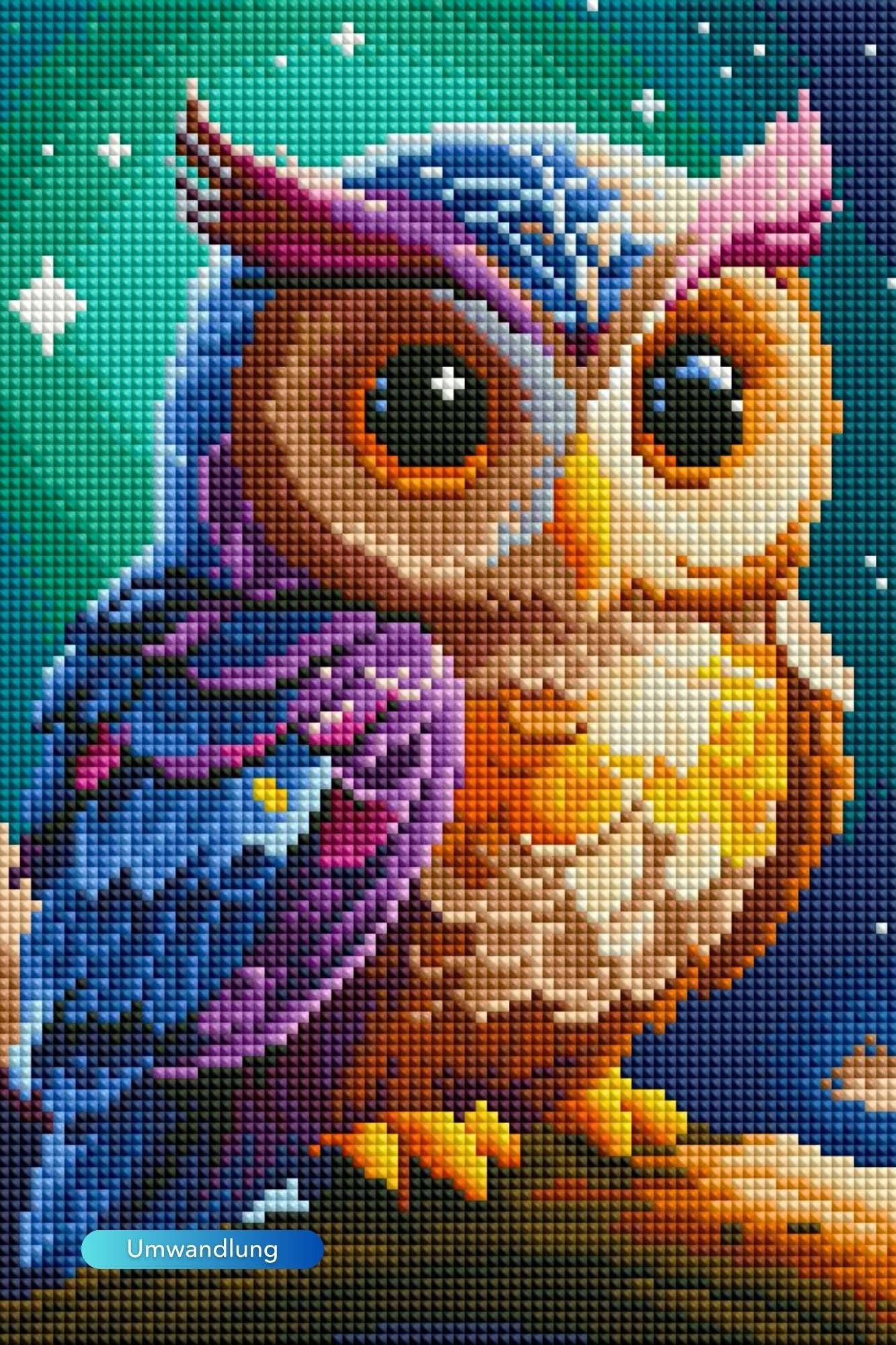 Picmondoo - Diamond Painting - Wächter der Nacht