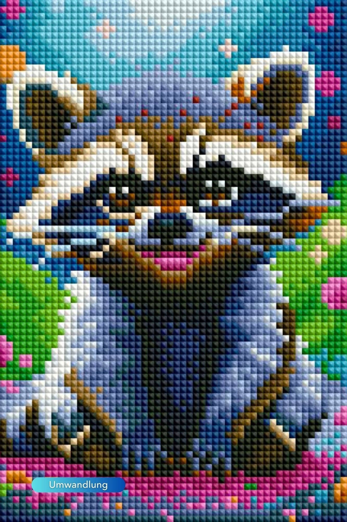 Picmondoo - Diamond Painting - Willi Waschbär